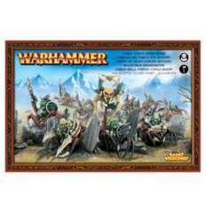 Gloomspite Gitz: Grot Spider Riders