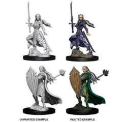 Nolzur's Marvelous Miniatures - Elf Paladin