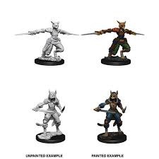 Nolzur's Marvelous Miniatures - Tabaxi Rogue