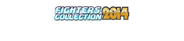 65fightercollection2014