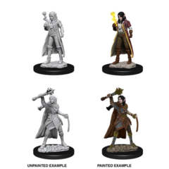 Nolzur's Marvelous Miniatures - Female Elf Cleric