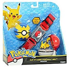 Pokemon Belt and Ball #2