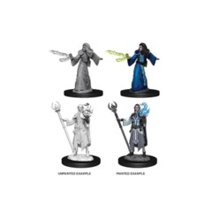 Nolzur's Marvelous Miniatures - Elf Wizard