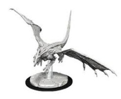 Nolzur's Marvelous Miniatures - Young White Dragon