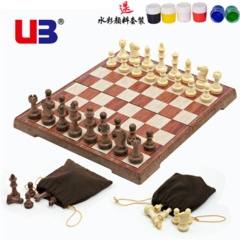 Magnetic Chess - Echec Magnetique 14