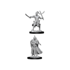 Nolzur's Marvelous Miniatures - Elf Paladin