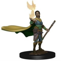 Icons of the Realms Premium Miniatures - Elf Druid