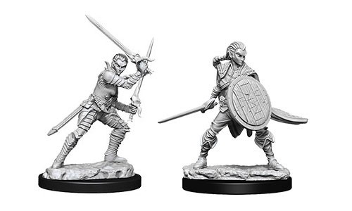 Deep Cuts - Female Elf Fighter
