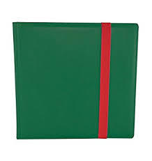 Dex Binder 12PKT: Green