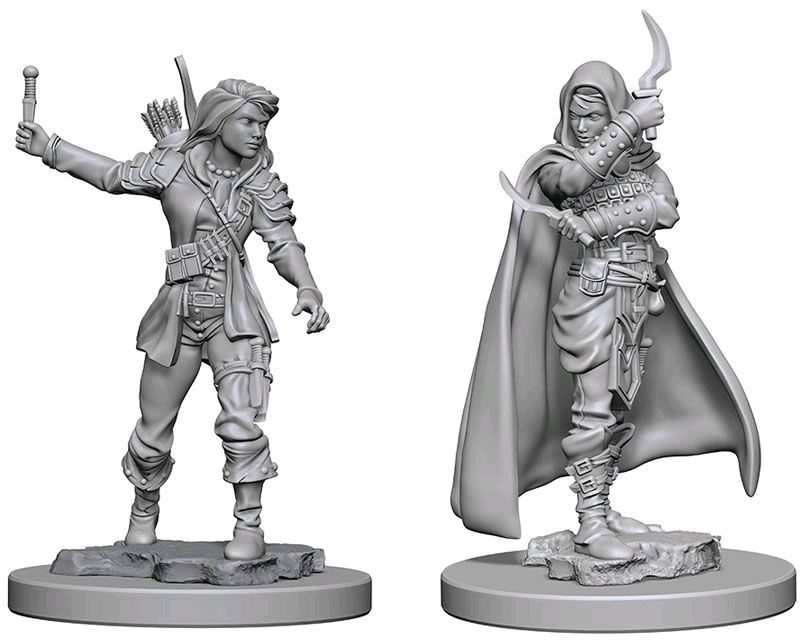 Pathfinder Deep Cuts - Human Female Rogue