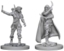Pathfinder Deep Cuts - Human Female Rogue