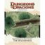 D&D Essentials: The Wilderness