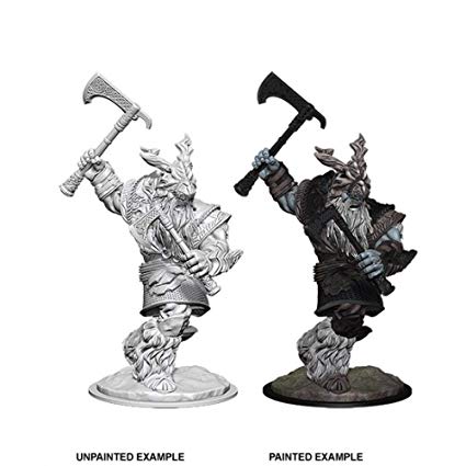Nolzurs Marvelous Miniatures - Frost Giant