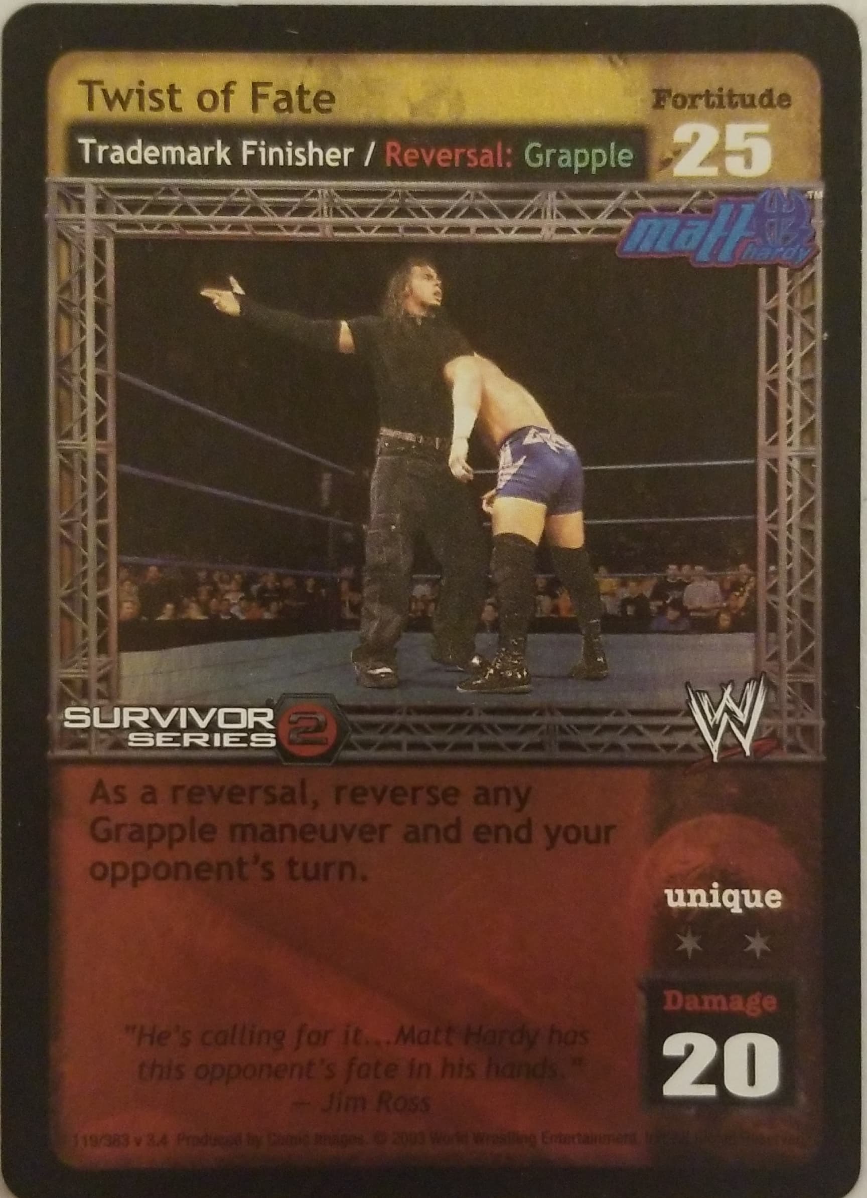 Twist of Fate - WWE Raw Deal » Superstar cards » Matt Hardy - Carte Blanche  Hobbies