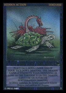 Tortoise