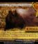 An American Werewolf in Sunnydale (Foil)
