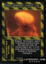 Genetic Experiment: Intrinsic Flaw