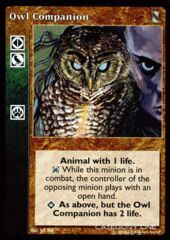 Owl Companion