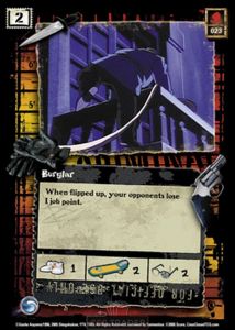 Burglar
