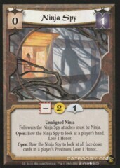 Ninja Spy