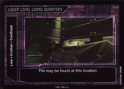 Lower Level Living Quarters