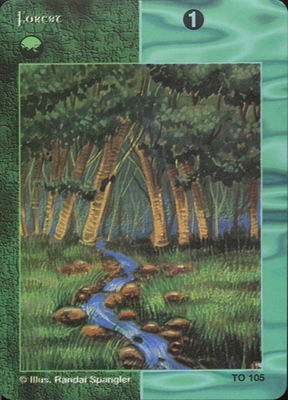 Forest