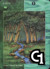 Forest