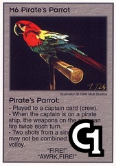 Pirate's Parrot