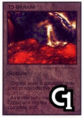 Globule