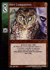 Owl Companion