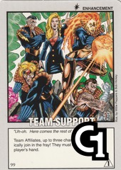 Team Support  (2nd Print)