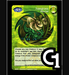 Sawgrass - Foil