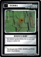Microbiotic Colony (2000)