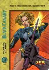 Black Canary Working Clothes