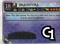 Brachyura - 6