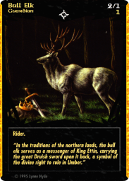 Bull Elk
