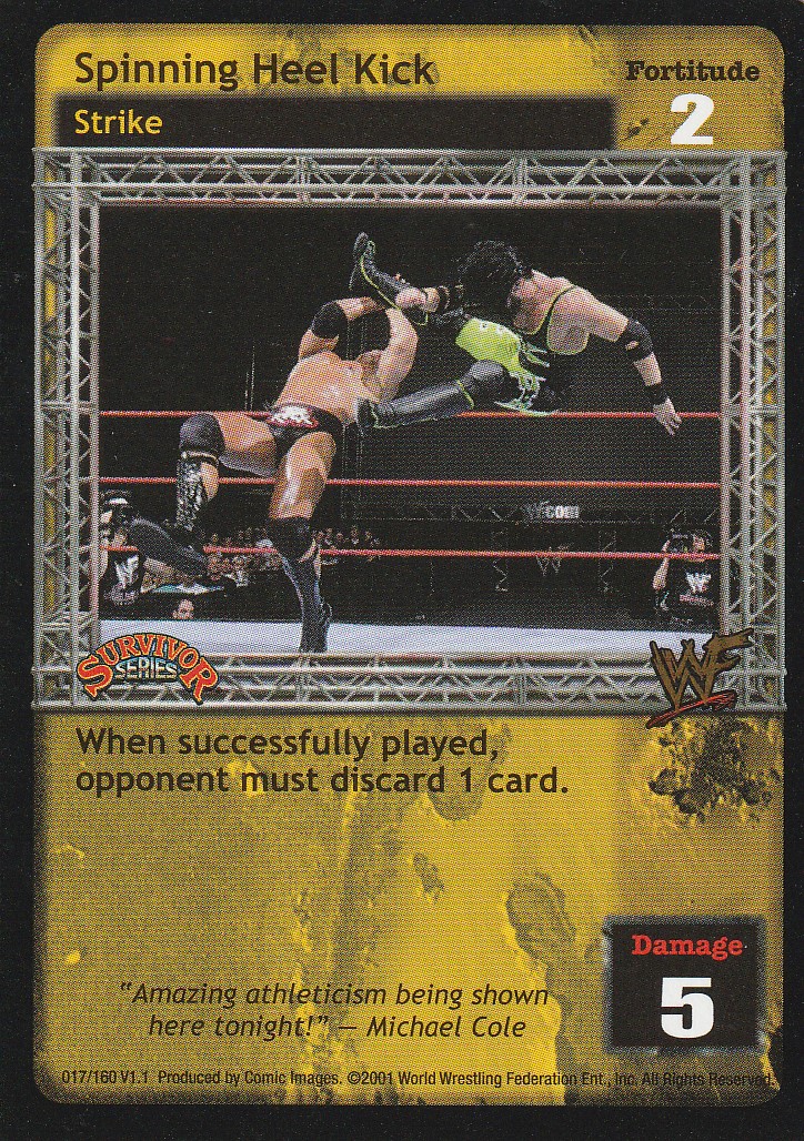 Spinning Heel Kick (SS1)