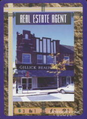 Real Estate Agent