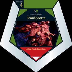 Cranioderm
