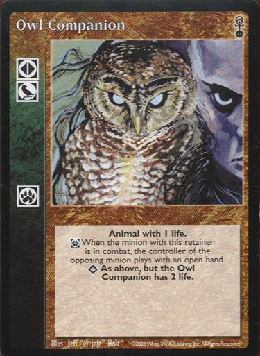 Owl Companion
