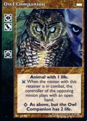 Owl Companion