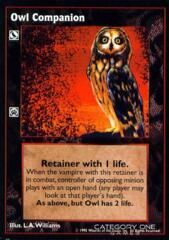 Owl Companion