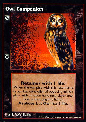 Owl Companion