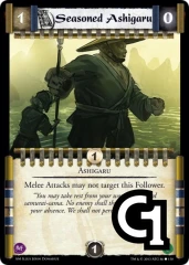 Seasoned Ashigaru
