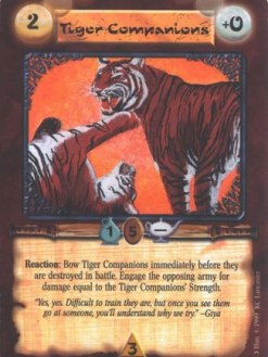 Tiger Companions