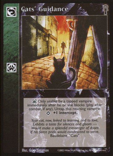 Cats Guidance