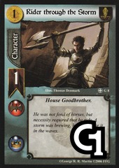 Rider through the Storm