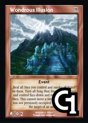 Wondrous Illusion
