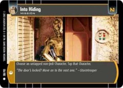 Into Hiding