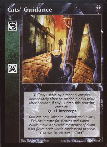 Cats Guidance